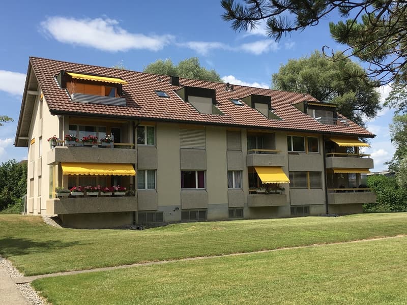 Charmante 3 1/2-Zimmerwohnung, 1. Stock links (1)