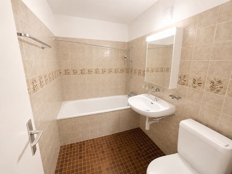 Charmante 3 1/2-Zimmerwohnung, 1. Stock links (9)