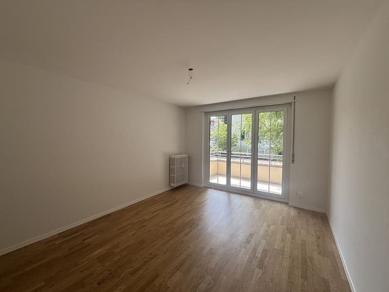 3 1/2-Zimmerwohnung, Parterre links (4)