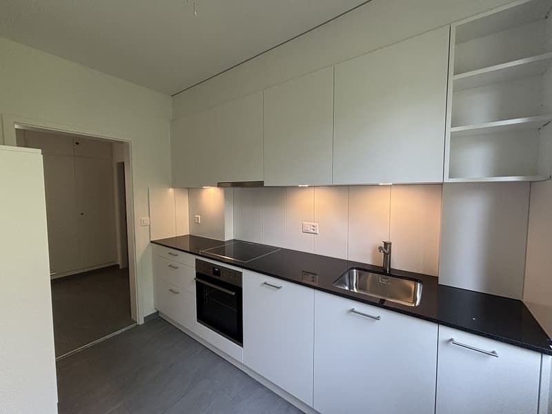 3 1/2-Zimmerwohnung, Parterre links (3)