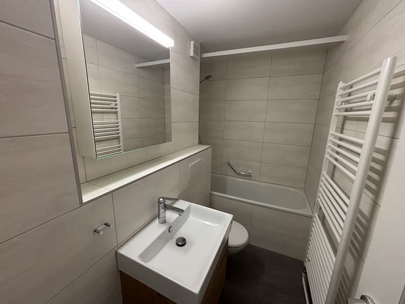 3 1/2-Zimmerwohnung, Parterre links (8)