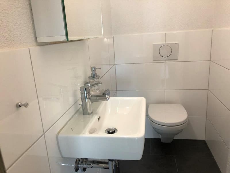 5 1/2-Zimmerwohnung, 2. Stock links (3)