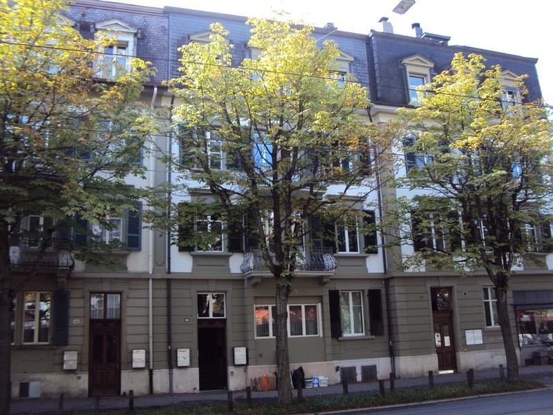 3-Zimmerwohnung, 1. Stock (1)