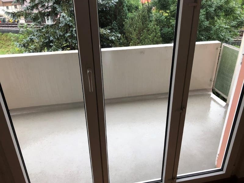 Charmante 3 1/2-Zimmerwohnung, 1. Stock links (9)