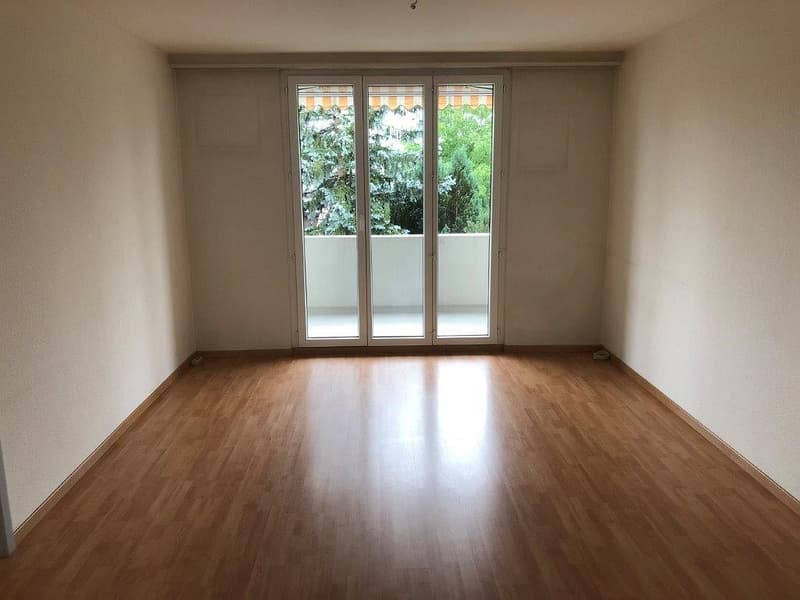 Charmante 3 1/2-Zimmerwohnung, 1. Stock links (4)