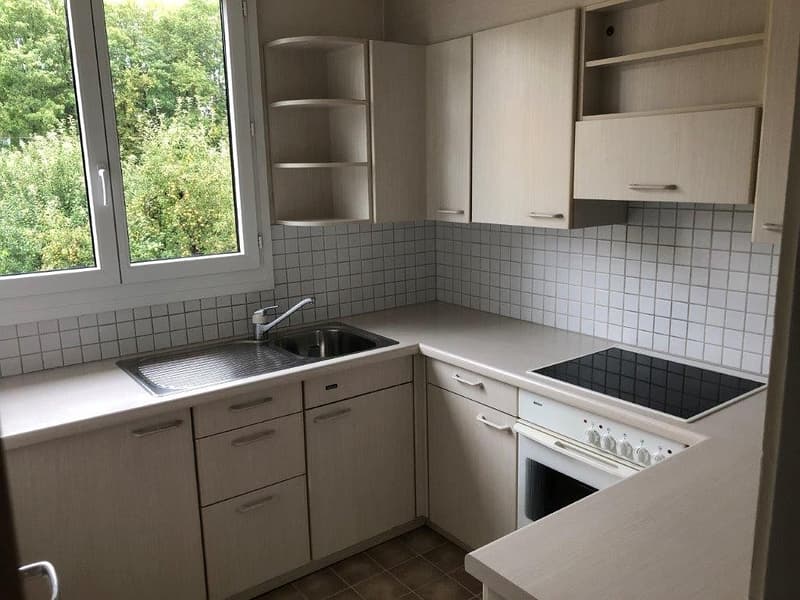 Charmante 3 1/2-Zimmerwohnung, 1. Stock links (3)