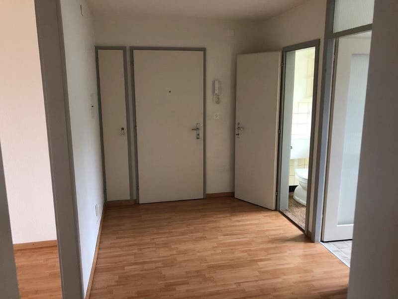 Charmante 3 1/2-Zimmerwohnung, 1. Stock links (2)