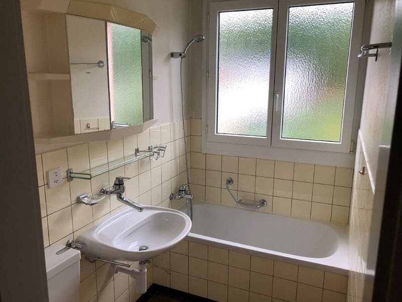 Charmante 3 1/2-Zimmerwohnung, 1. Stock links (8)