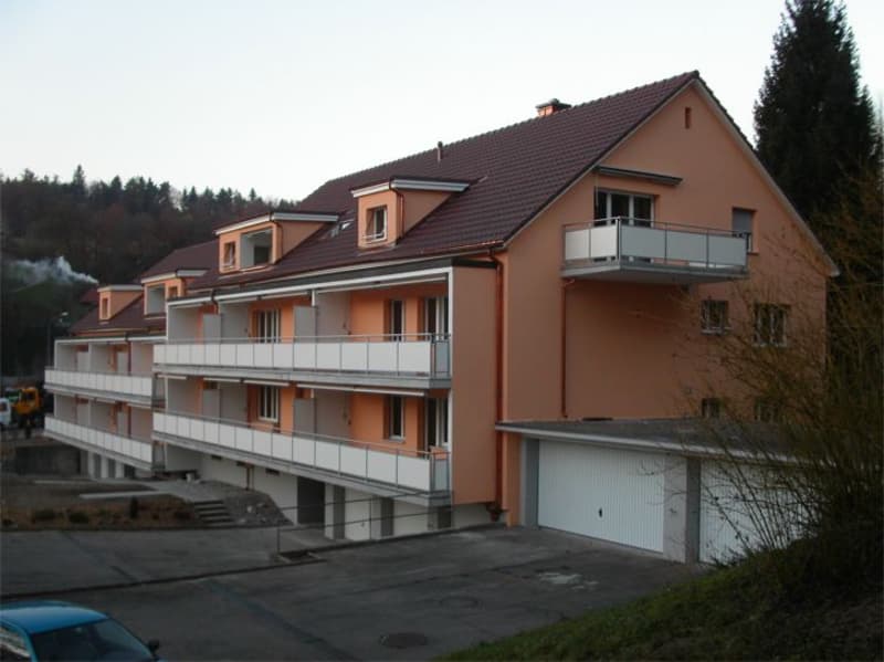 3 1/2-Zimmerwohnung, 1. Stock rechts (1)