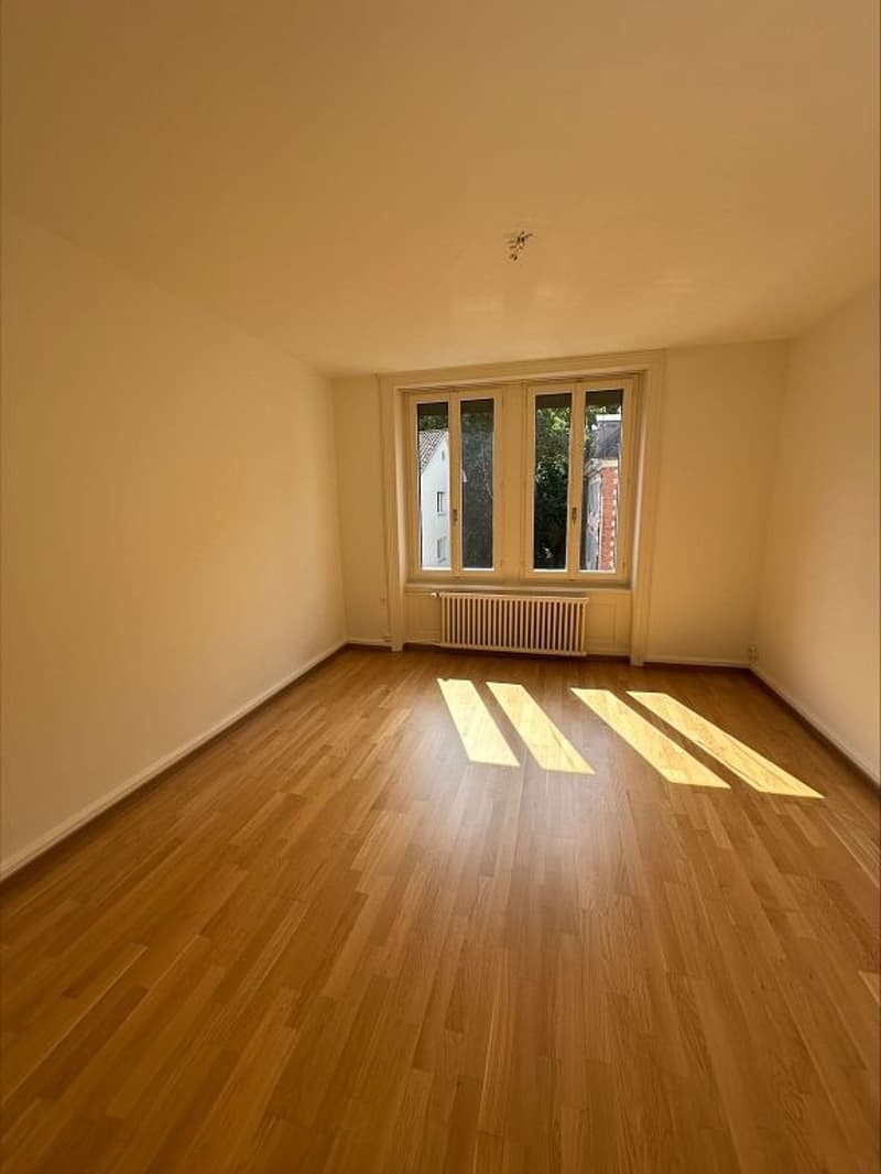 Attraktive 4- Zimmerwohnung mit viel Charme in Zürich-Wiedikon zu vermieten (6)