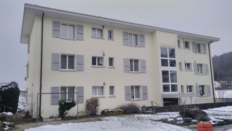sanierte 2 1/2-Zimmerwohnung im 2. Stock rechts (1)