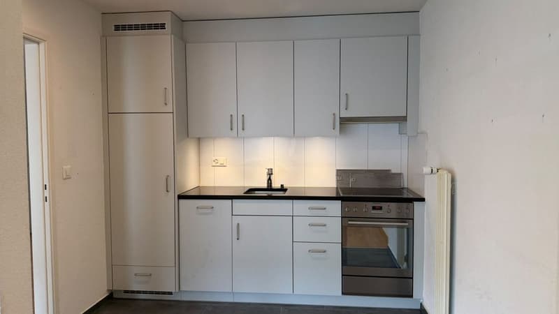 3 1/2-Zimmerwohnung, 1. Stock rechts (3)