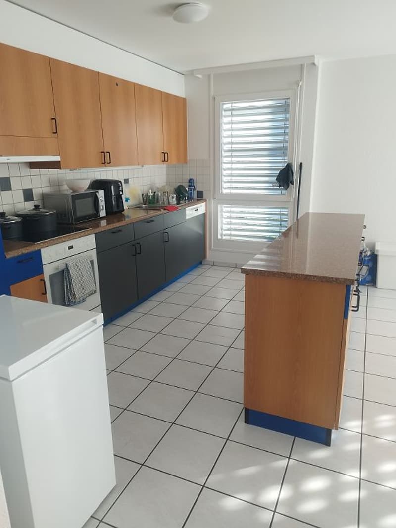 3 1/2-Zimmerwohnung, 2. Stock rechts (2)