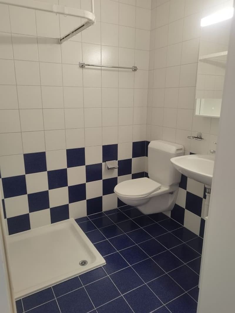 3 1/2-Zimmerwohnung, 2. Stock rechts (6)