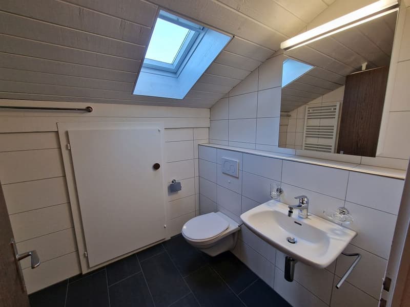 charmante 2 1/2-Zimmerwohnung, Dachstock (5)