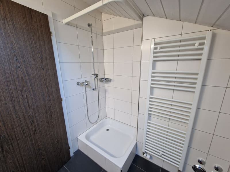 charmante 2 1/2-Zimmerwohnung, Dachstock (6)