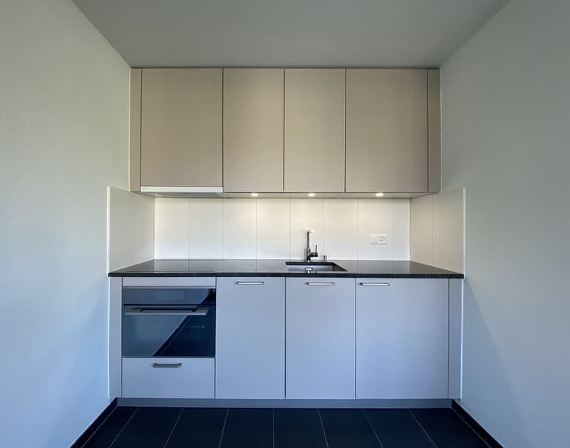 1 1/2- Zimmerwohnung, 1. Stock links (2)