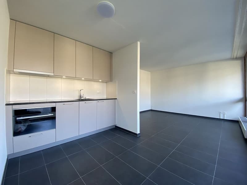1 1/2- Zimmerwohnung, 1. Stock links (3)