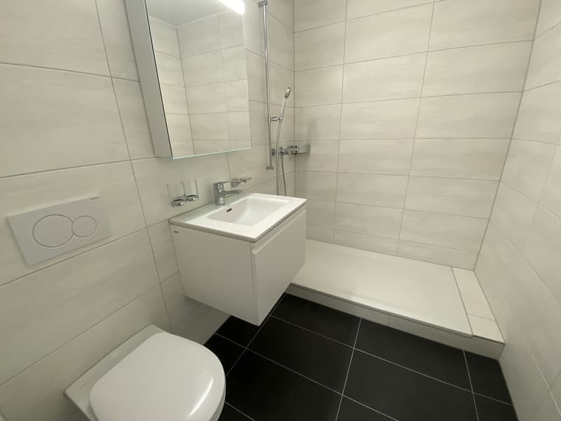 1 1/2- Zimmerwohnung, 1. Stock links (5)