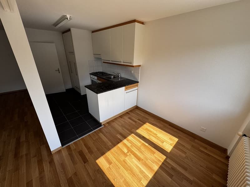 5 1/2 Zimmerwohnung, 2. Stock rechts (2)