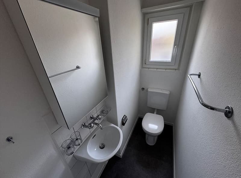 5 1/2 Zimmerwohnung, 2. Stock rechts (9)