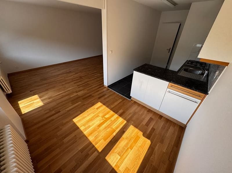5 1/2 Zimmerwohnung, 2. Stock rechts (3)