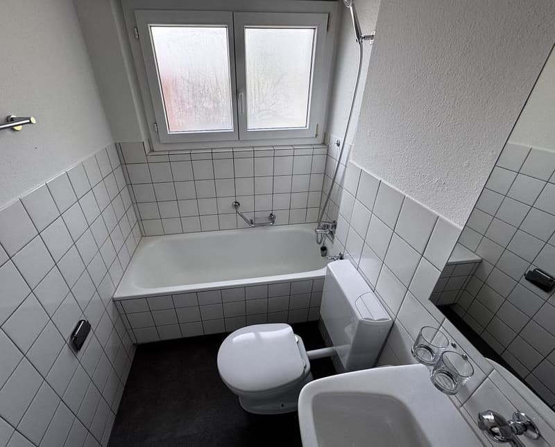 5 1/2 Zimmerwohnung, 2. Stock rechts (6)