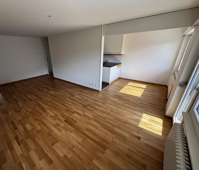 5 1/2 Zimmerwohnung, 2. Stock rechts (2)