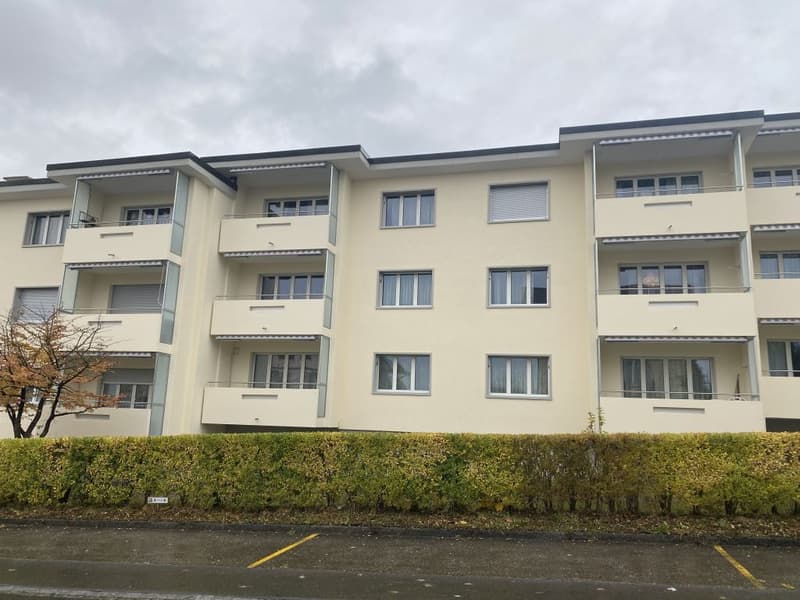 3 1/2-Zimmerwohnung, Parterre rechts (1)