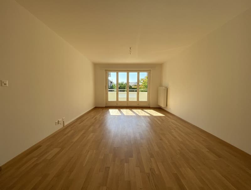 3 1/2-Zimmerwohnung, Parterre rechts (4)