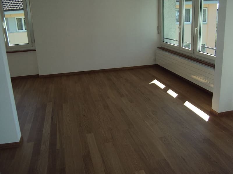3 1/2-Zimmerwohnung, Parterre links (4)