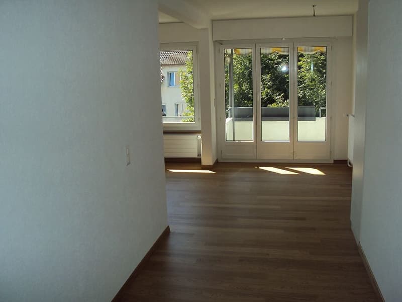 3 1/2-Zimmerwohnung, Parterre links (3)