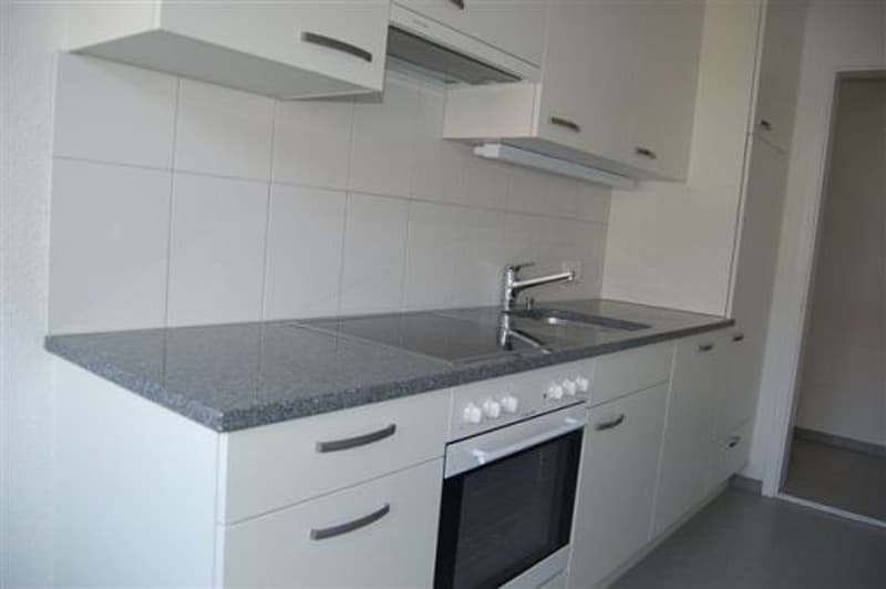 4 1/2-Zimmerwohnung, 1. Stock rechts (3)