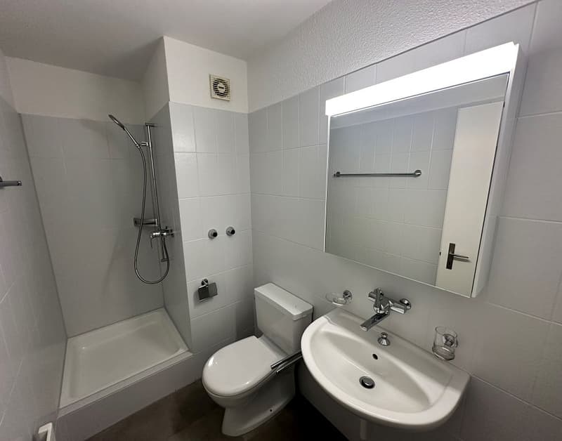 4 1/2-Zimmerwohnung, 1. Stock links (9)