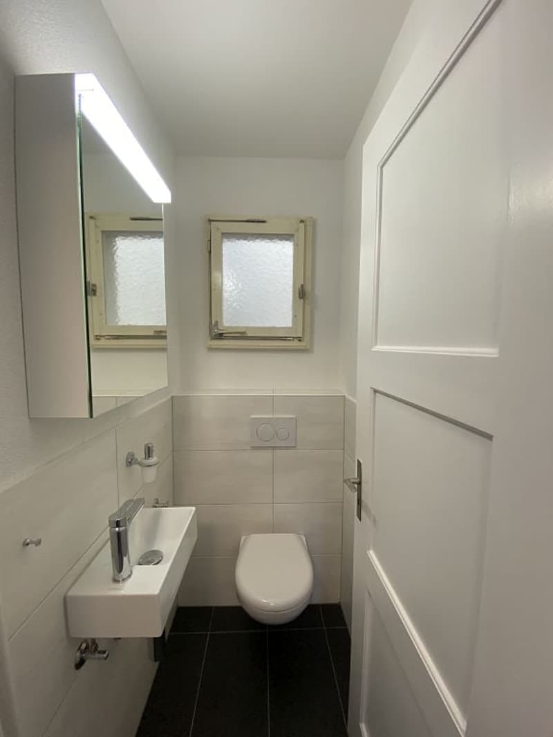 Frisch sanierte 3-Zimmerwohnung im 3. Obergeschoss (10)