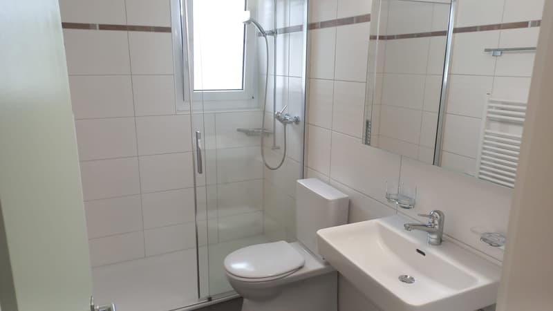4 1/2-Zimmerwohnung im 2. Stock (5)