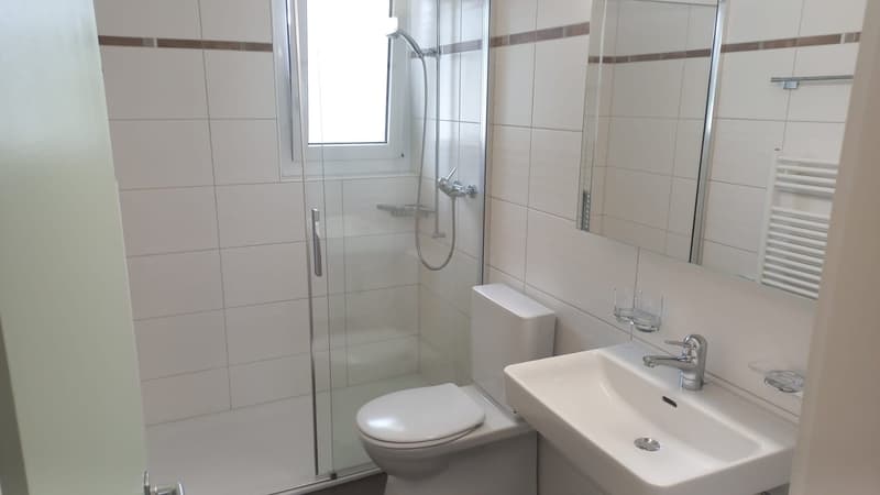 4 1/2-Zimmerwohnung im 2. Stock (5)