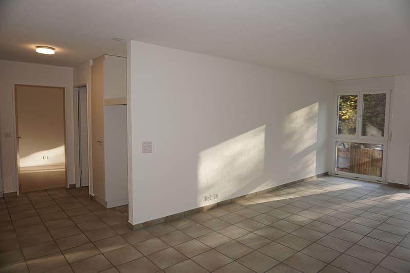 3 1/2-Zimmerwohnung, Parterre (3)