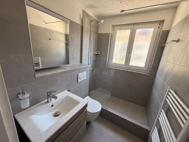 Frisch sanierte 3-Zimmerwohnung - in der Stadt Bern (5)