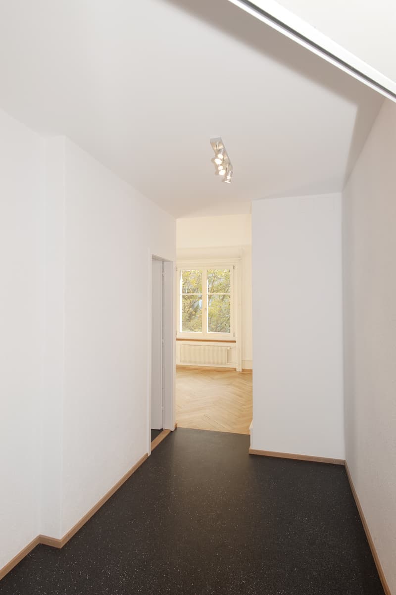 1 1/2-Zimmerwohnung, 2. Stock links (2)