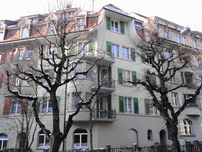 1 1/2-Zimmerwohnung, 2. Stock links (1)