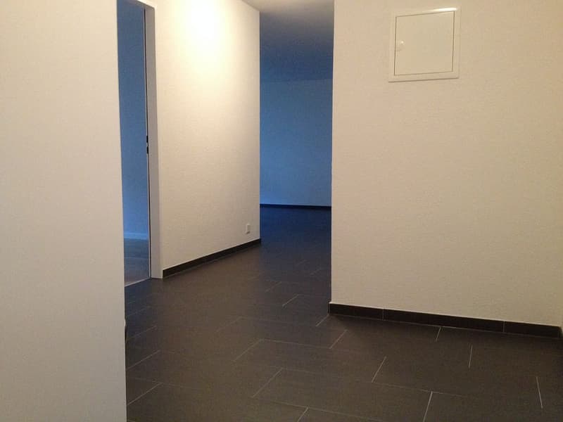 3 1/2-Zimmerwohnung, 1. Stock rechts (3)
