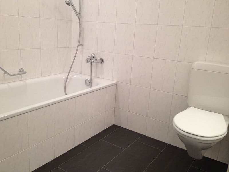 3 1/2-Zimmerwohnung, 1. Stock rechts (10)