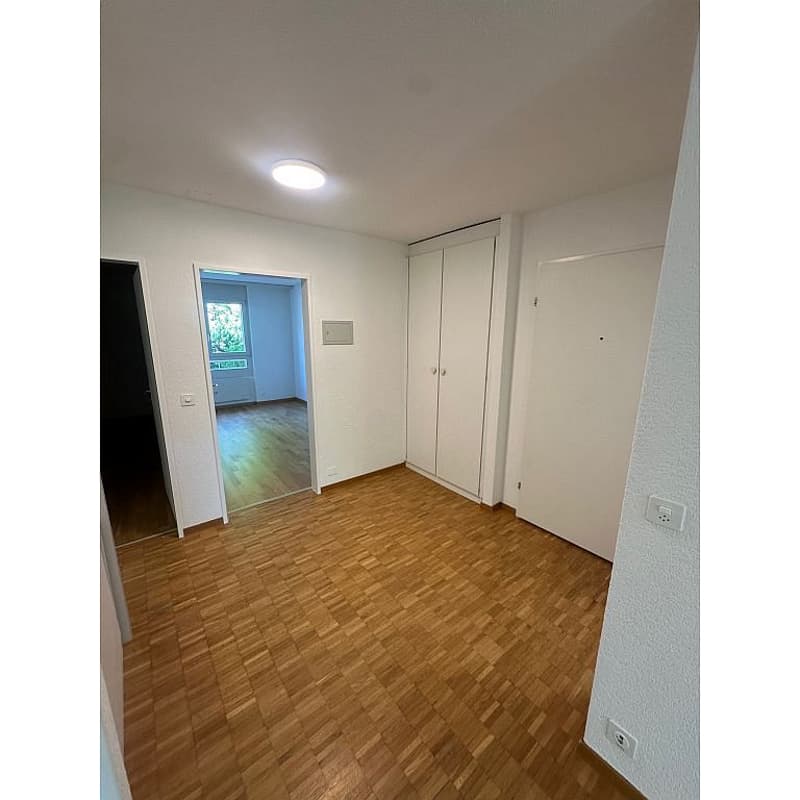 3 1/2 Zimmerwohnung, Parterre links (2)