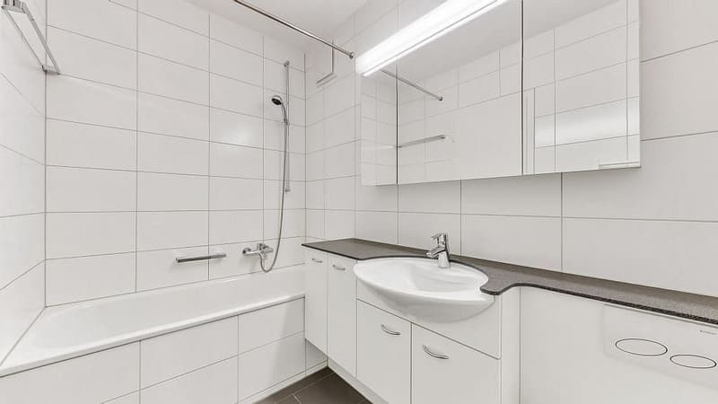 4 1/2-Zimmerwohnung, Parterre links (9)