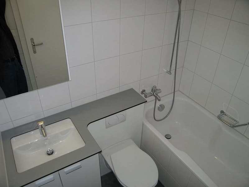 "Schöne 3 1/2-Zimmerwohnung zu vermieten" (5)