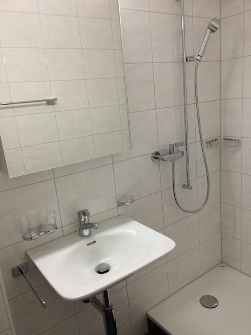 3-Zimmerwohnung, 1. Stock rechts (4)