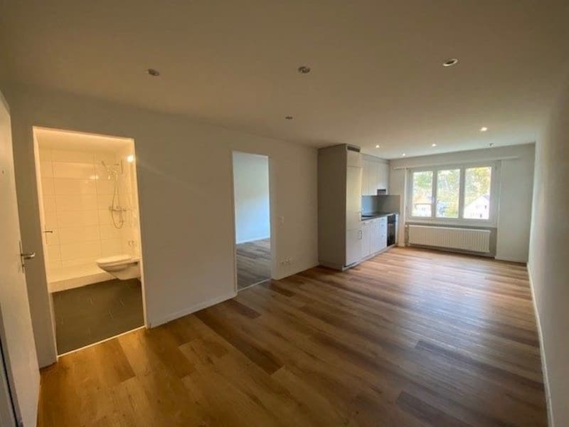 2-Zimmerwohnung im Dachstock (3)