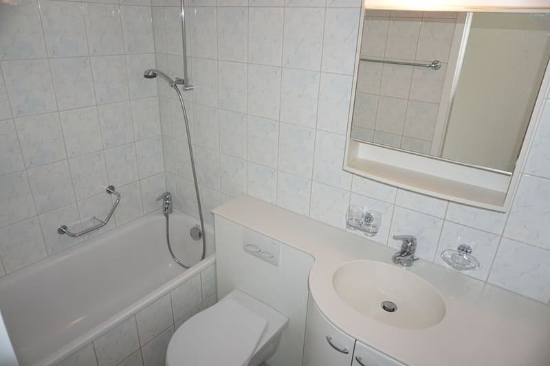 3-Zimmerwohnung, 1. Stock rechts (3)