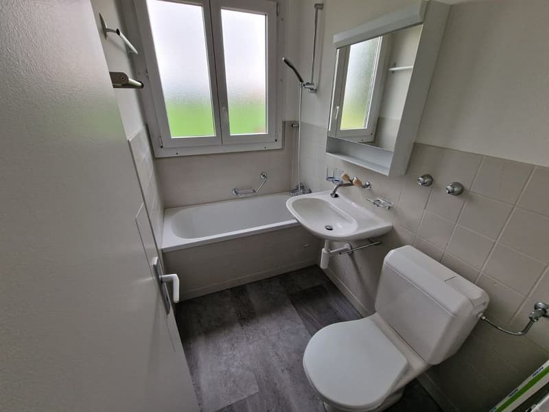 4 1/2-Zimmerwohnung, Parterre rechts (7)
